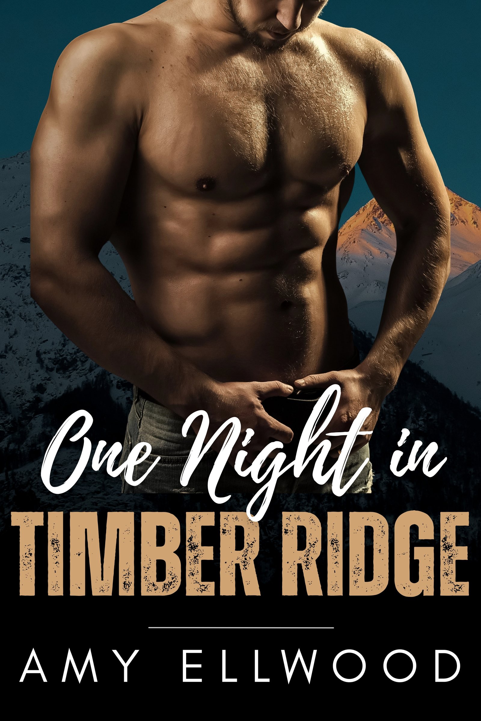 One Night in Timber Ridge
